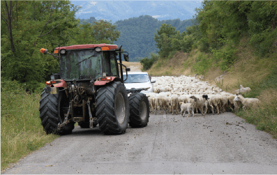 “Hot spots” cause produce to spend significantly more time in the chain